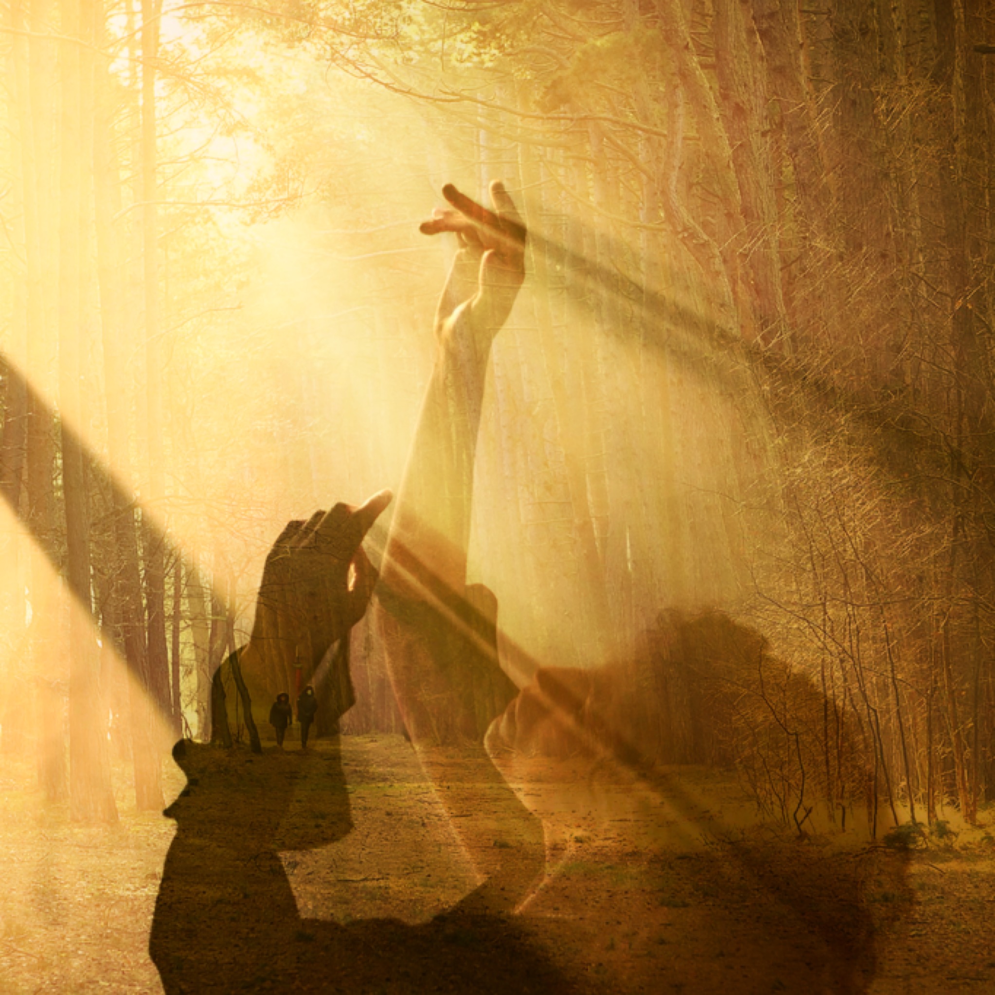 Mijn donderdagavond therapeut