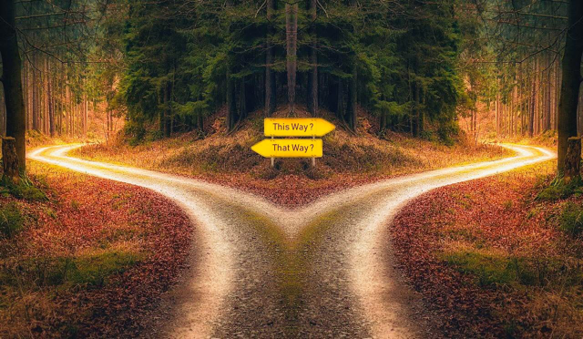 This way, that way…